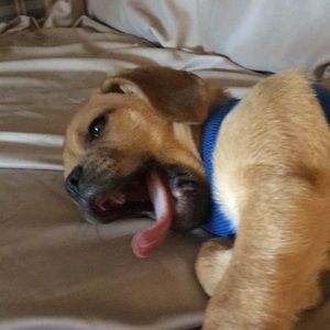 Meet your Posher, Brenda